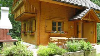Ferienhaus Gasen im Naturpark in der Steiermark