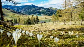 Unterkünfte Urlaub Natur Naturpark Steiermark