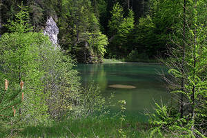 Naturpark Mürzer Oberland