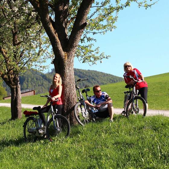 Rad fahren Naturpark Almenland