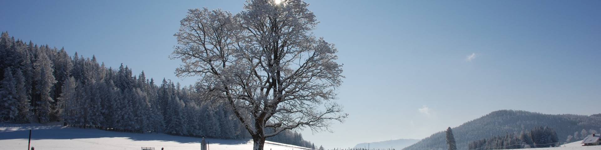 Winter_Aussicht_Teichalm